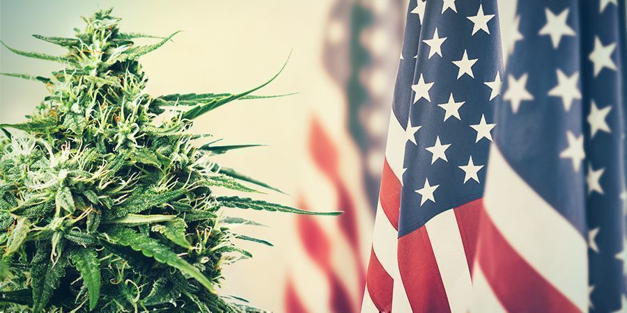 Cannabis: FROM TAXATION TO PROHIBITION