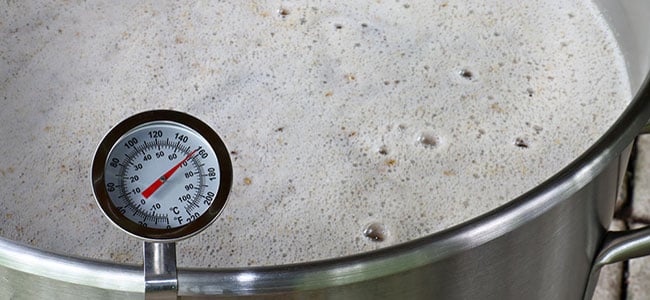 Thermometer beer mash temperature