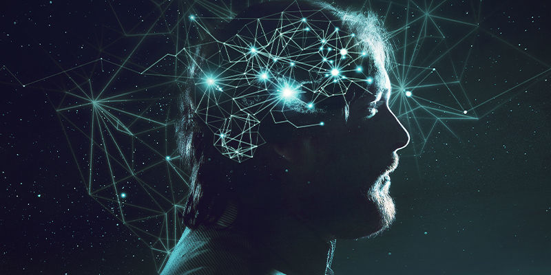 Brain networks