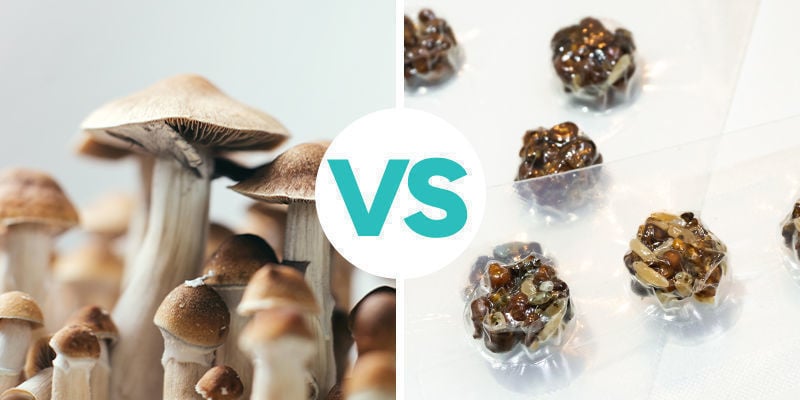 What's the difference between magic truffles and magic mushrooms?