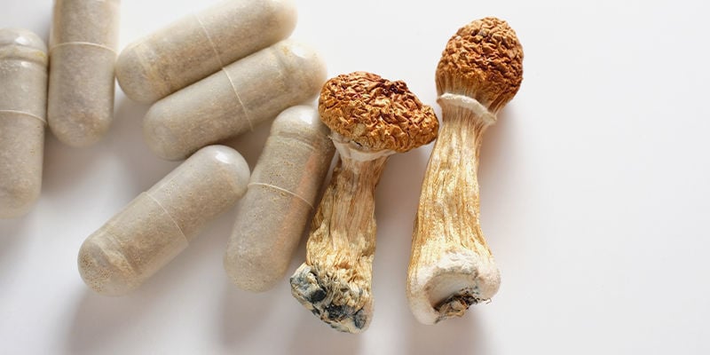 How are magic truffles & magic mushrooms consumed?
