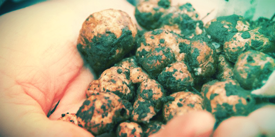HOW DO MAGIC TRUFFLES WORK?