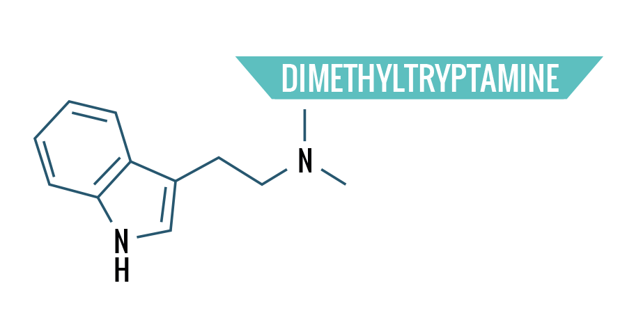 Dimethyltryptamine Dimethyltryptamine