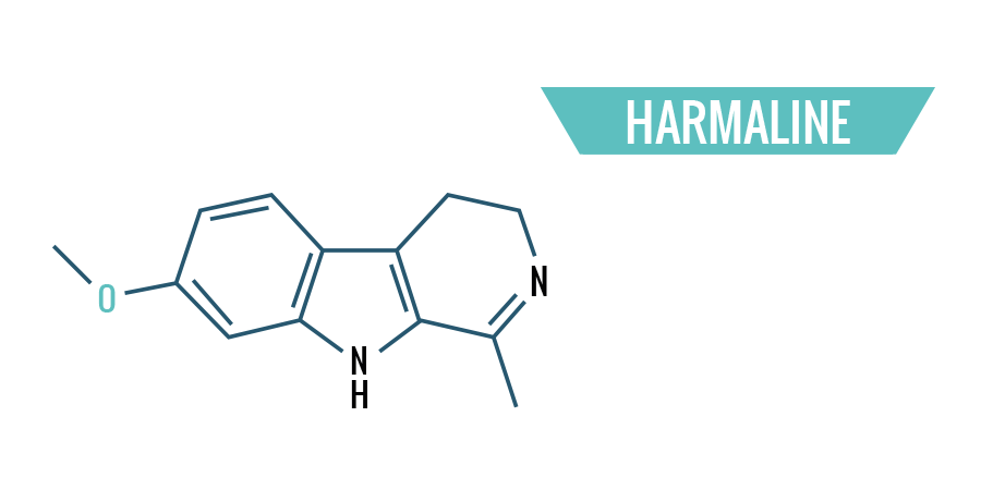 Harmaline Harmaline