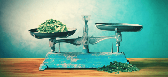 CAN YOU OVERDOSE ON SALVIA?