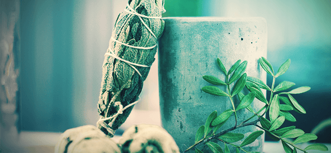 How To Use Salvia Divinorum? How To Use Salvia Divinorum?