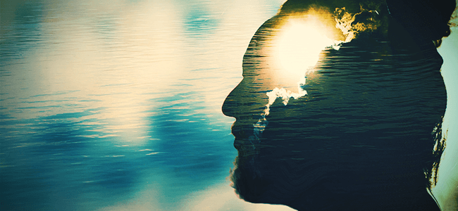 Effects Of Salvia Divinorum Effects Of Salvia Divinorum