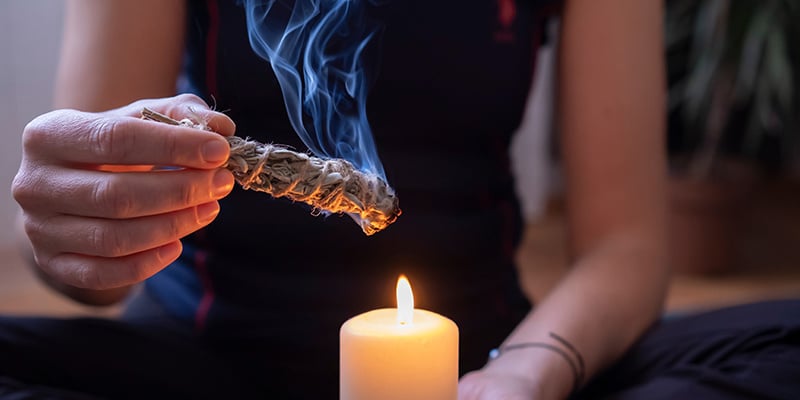 Where to buy Salvia divinorum and safety considerations