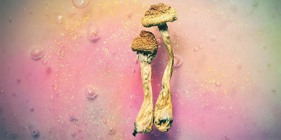 What Are Magic Mushrooms?