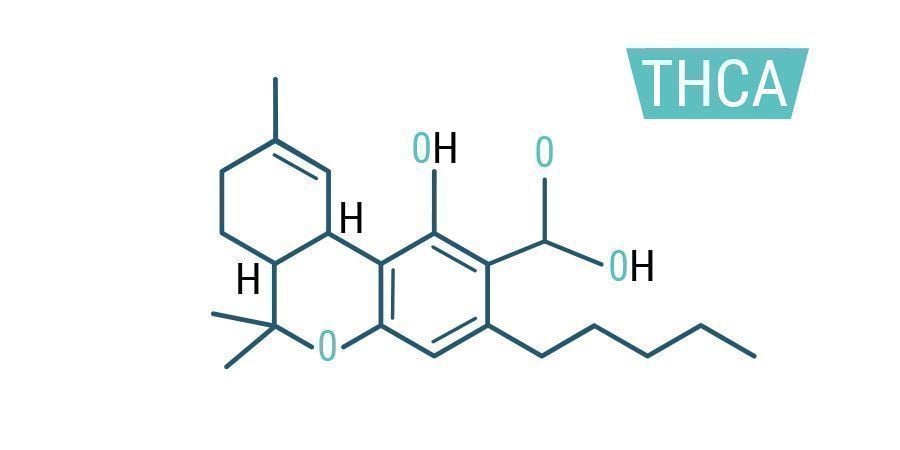 THCA