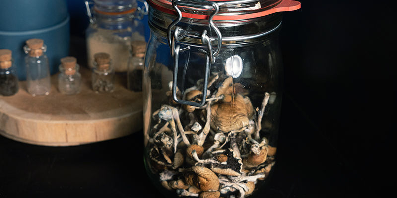 How To Dry And Store Magic Mushrooms - Zamnesia