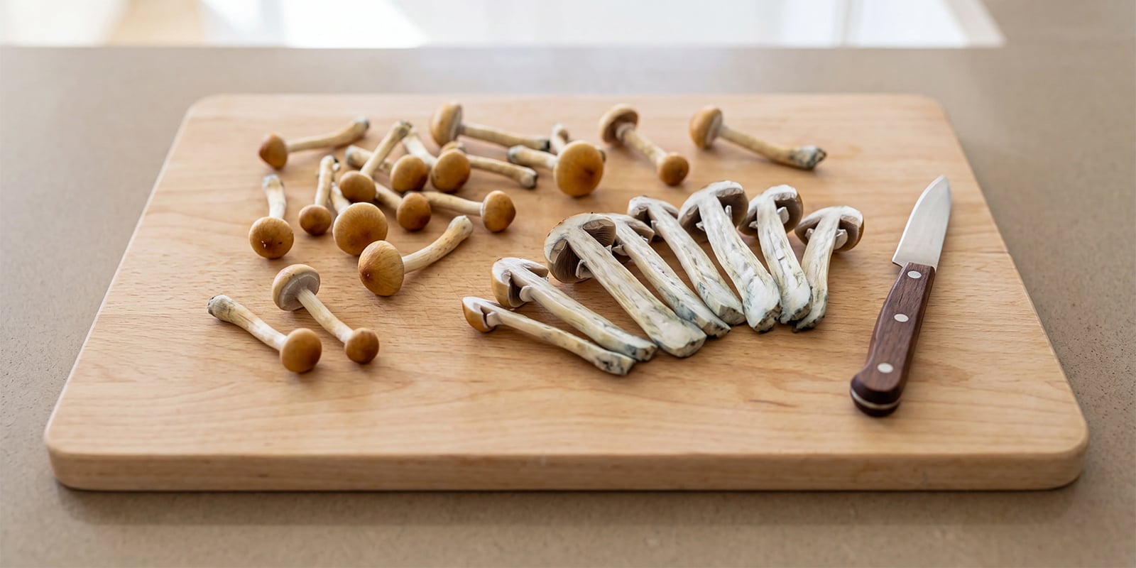 How to cut large or thick mushrooms before drying How to cut large or thick mushrooms before drying