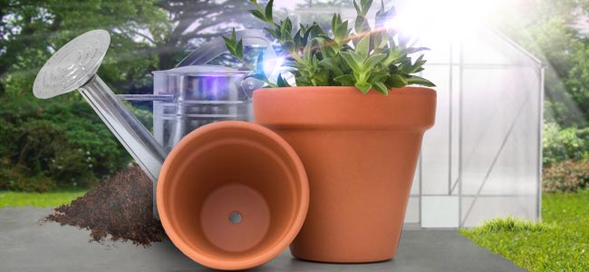 Pots, Soil And Growing Conditions Pots, soil and growing conditions