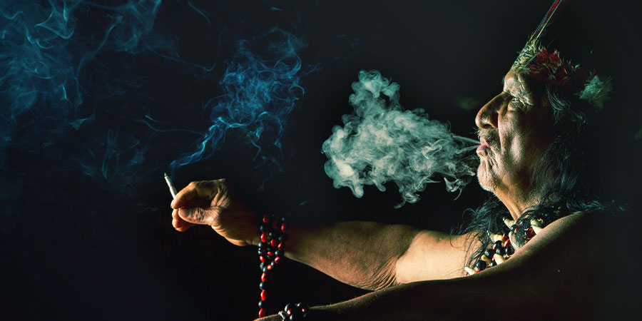 The Ayahuasca MAOI Diet The Ayahuasca MAOI Diet