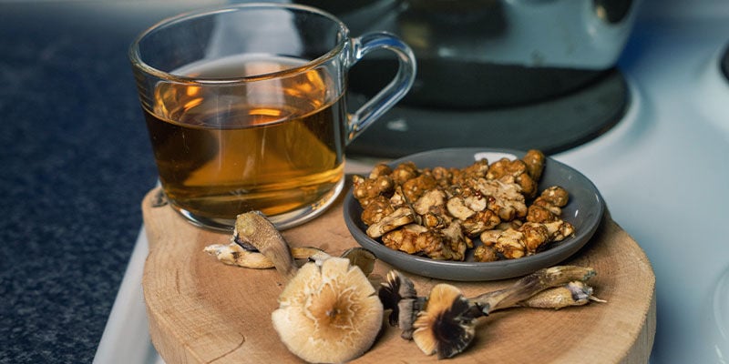 How To Make Magic Truffle/Mushroom Tea