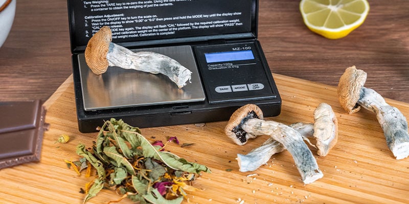 Does It Matter How You Consume Magic Mushrooms?