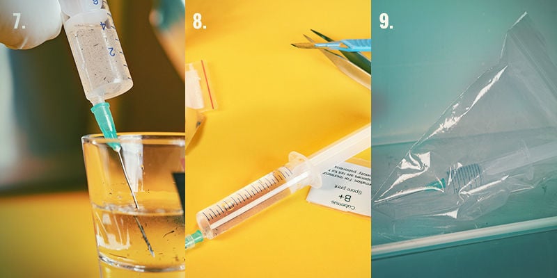 Spore Syringe Step-By-Step Directions: Steps 7-9