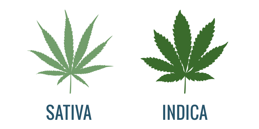 Sativa Vs Indica Chart