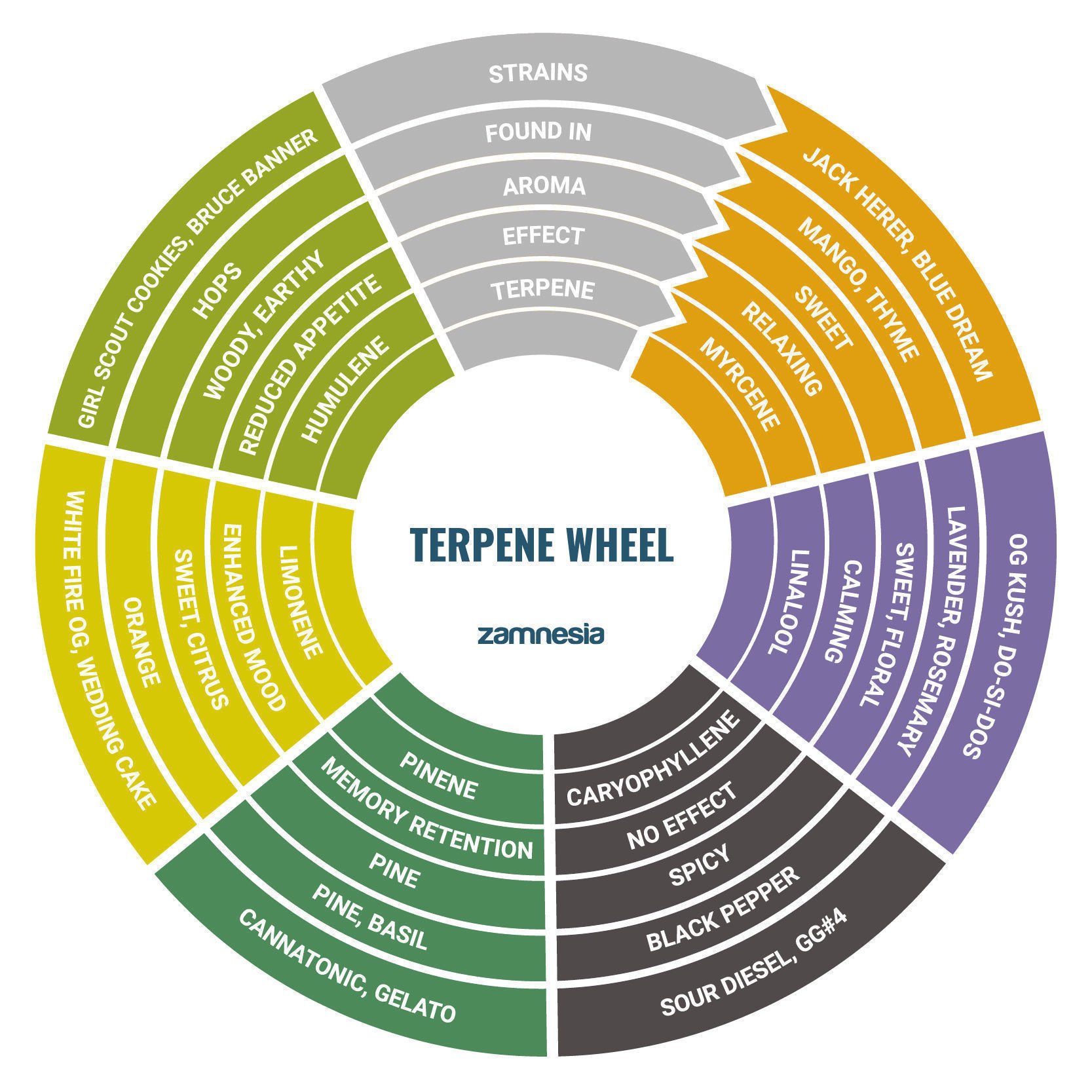 Terpene Wheel