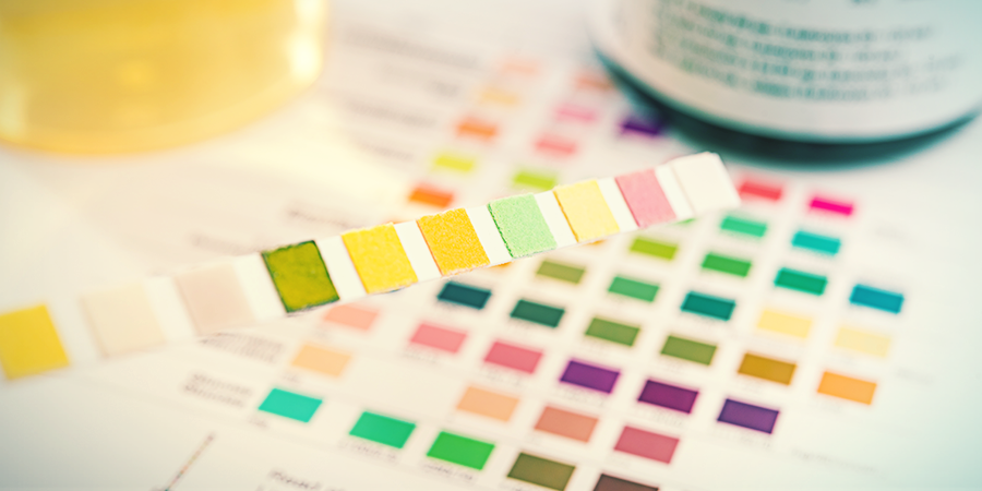 What Are Drug Tests Looking For? What Are Drug Tests Looking For?