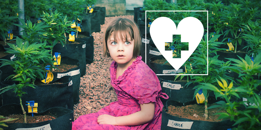 Cbd And Epilepsy: Charlotte's Story CBD and Epilepsy: Charlotte's Story