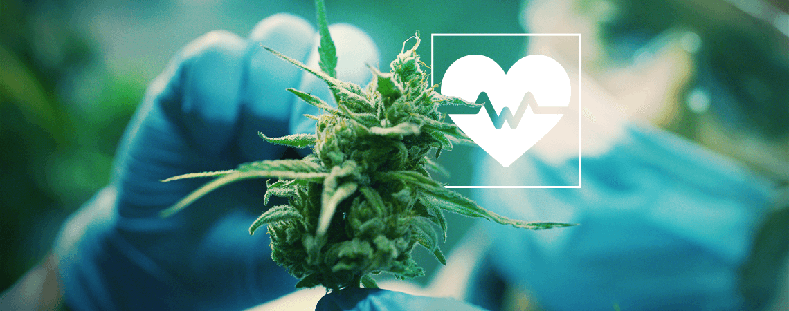 Cannabis Research: A Selection Of The Most Important Medical Studies Cannabis Research: A Selection Of The Most Important Medical Studies
