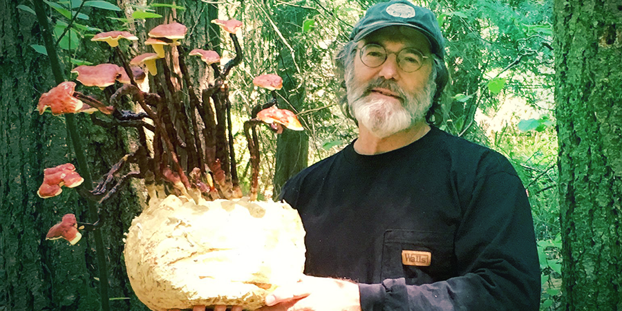 Shrooms And The Gaian Mind SHROOMS AND THE GAIAN MIND