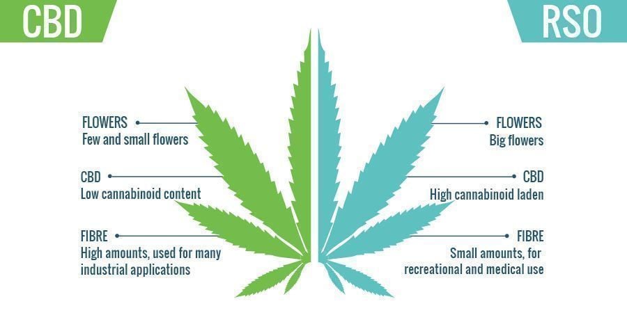 CBD vs RSO