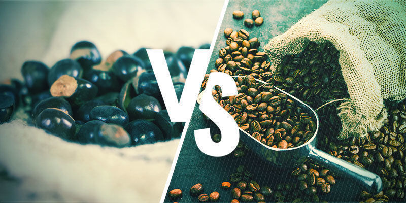 Guarana vs. Coffee