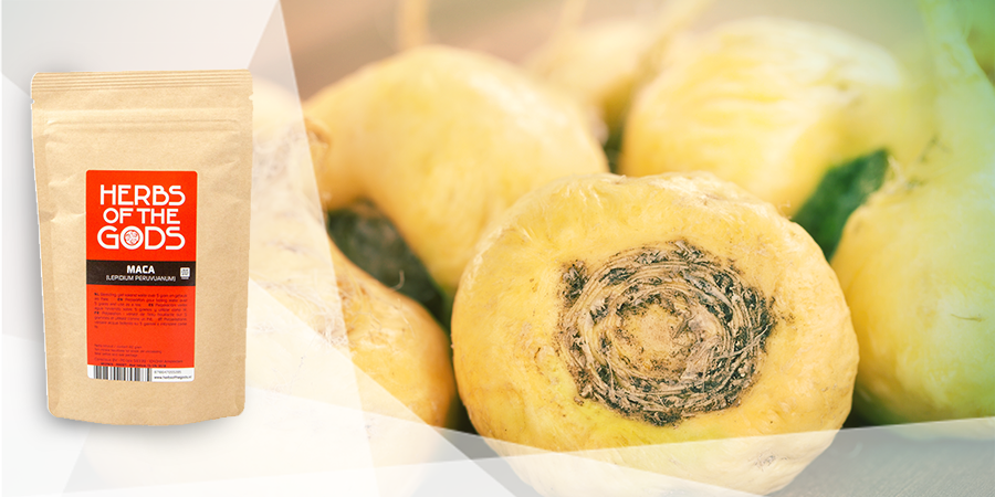 Top 15 Natural Herbs For Energy Vitality Zamnesia