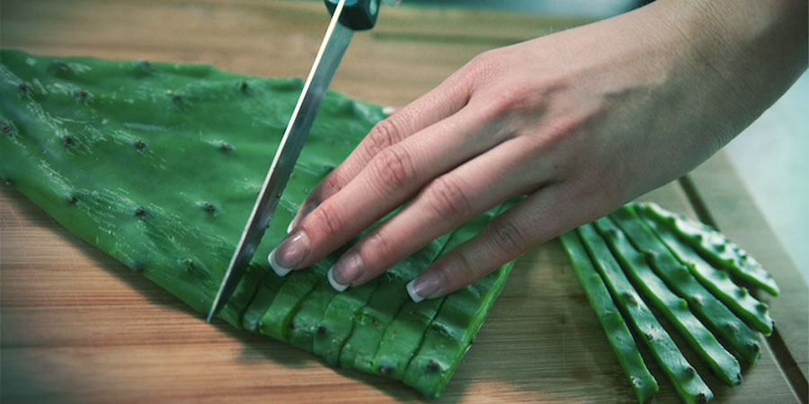 How To Prepare The Cactus Of The Four Winds HOW TO PREPARE THE CACTUS OF THE FOUR WINDS