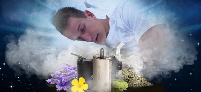 Best Vape Herbs For A Good Night's Sleep Best Vape Herbs For A Good Night's Sleep