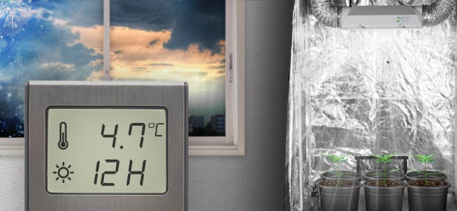 March: Start Seedlings Indoors March: Start Seedlings Indoors