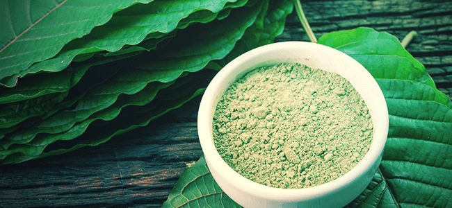Different Kratom Strains