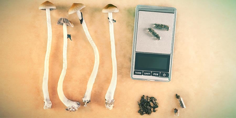 HOW TO MAKE MAGIC MUSHROOM MICRODOSE CAPSULES