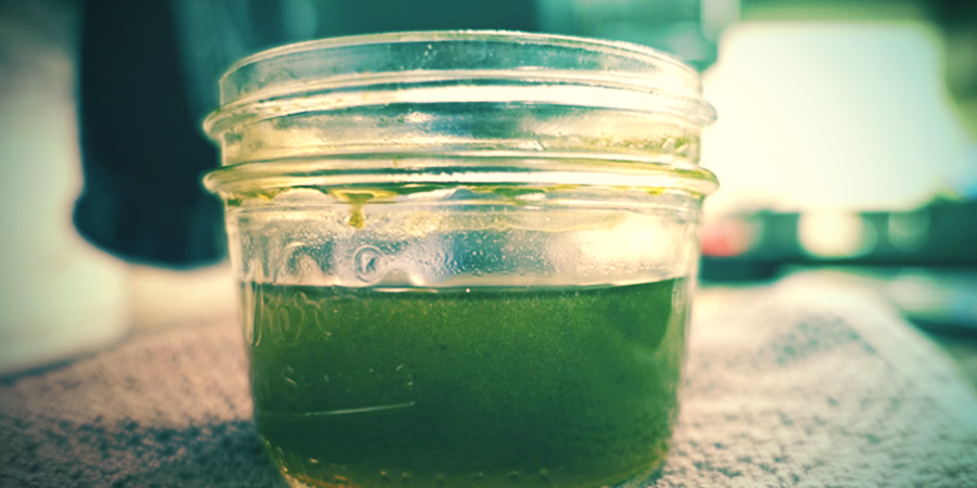 Cannabis Tincture
