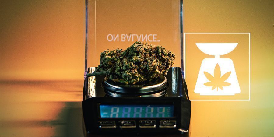 Here is the Definitive Guide to Weed Weights