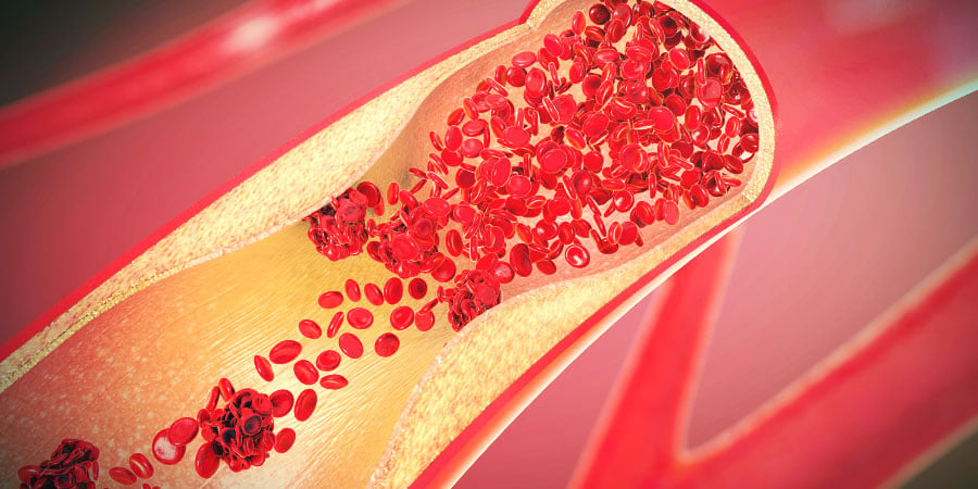 HOW DOES ALCOHOL AFFECT THE HUMAN BODY?