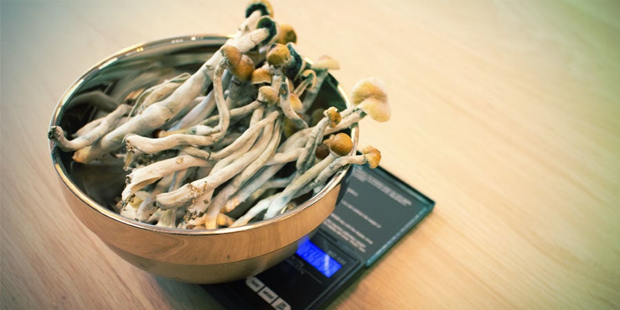 HOW TO WEIGH MAGIC MUSHROOMS CORRECTLY