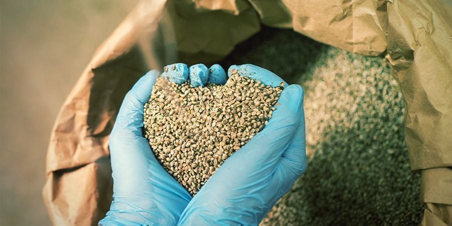 How Are Hemp Seeds Processed and Sold?