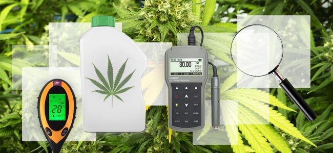 How To Treat Nitrogen Toxicity How To Treat Nitrogen Toxicity