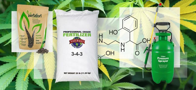 What To Do About Nitrogen Deficiency? What To Do About Nitrogen Deficiency?