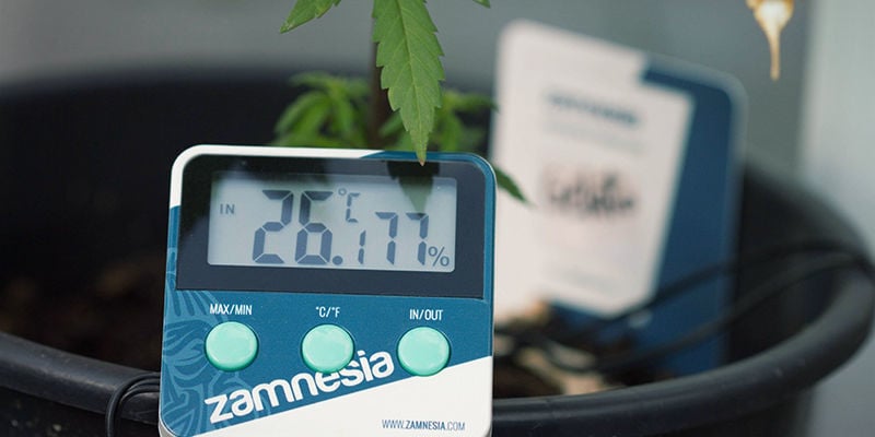 How To Use The Zamnesia Hygrometer/Thermometer