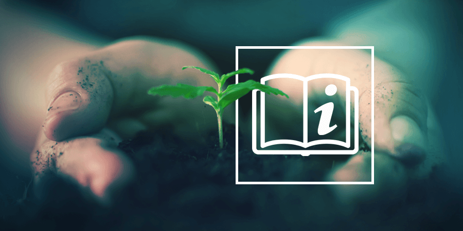 Cannabis Grow Guide