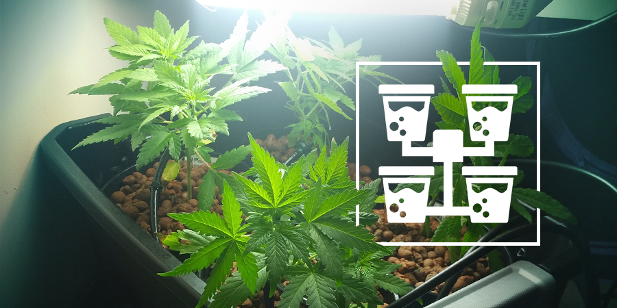 Hydro Setup Types For Cannabis Hydro Setup Types For Cannabis