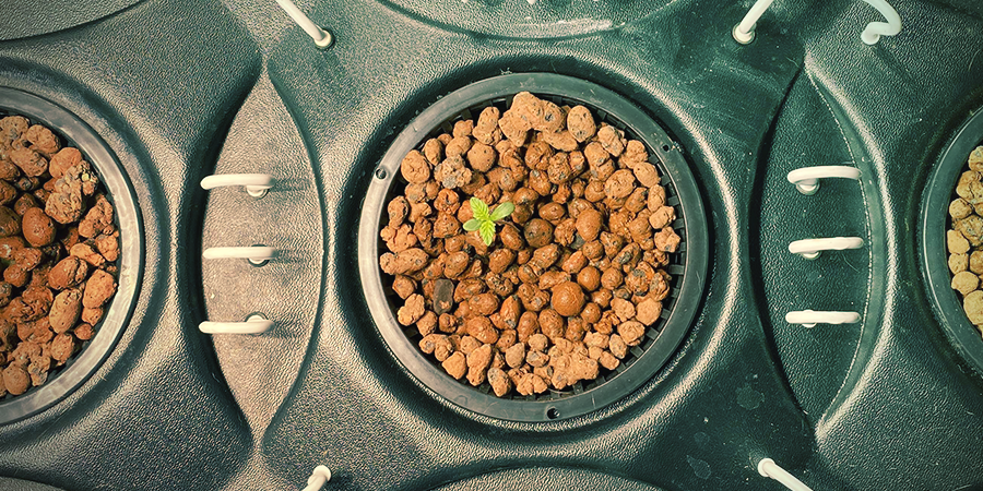 Pro’s And Con’s Of Advanced Hydro Cannabis Cultivation PRO’S AND CON’S OF ADVANCED HYDRO CANNABIS CULTIVATION