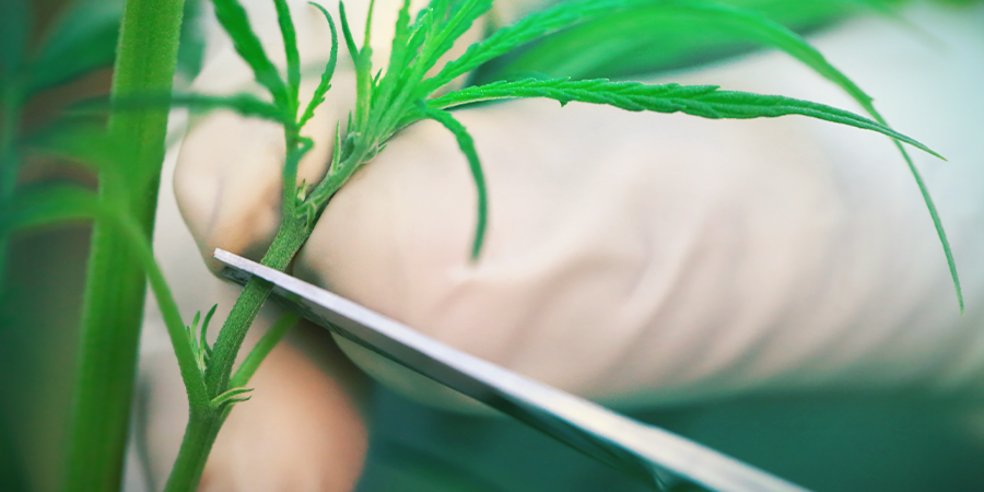 Step By Step Cloning Guide STEP BY STEP CLONING GUIDE