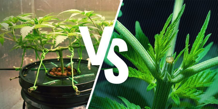 Is There a Difference Between LST and HST?