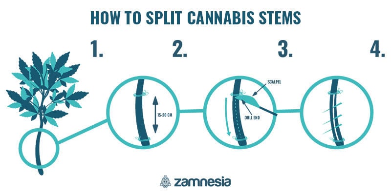 How To Split