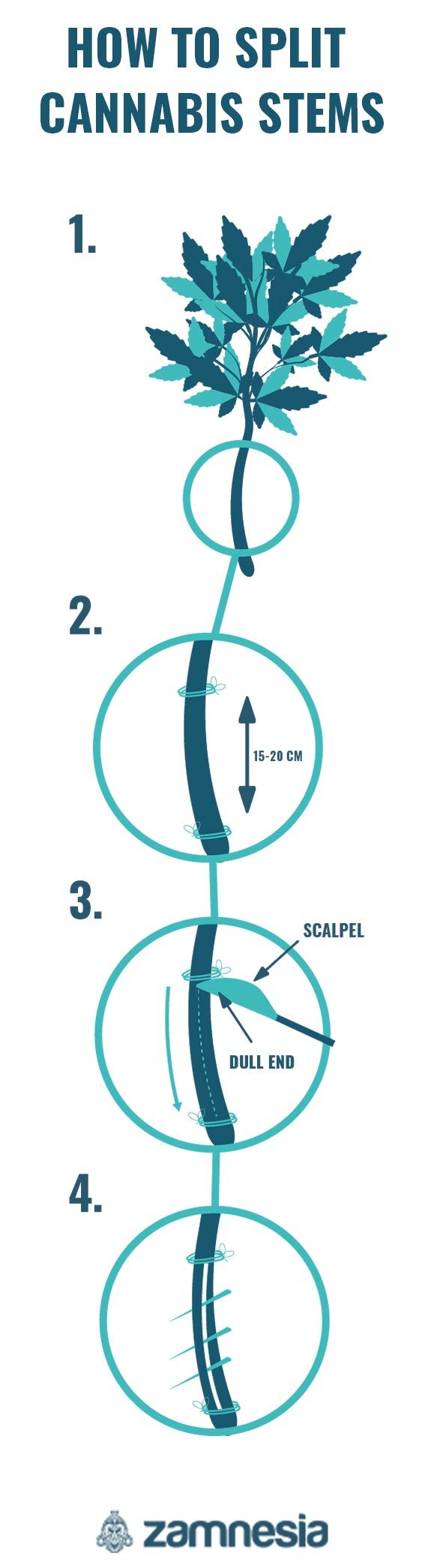 How To Split